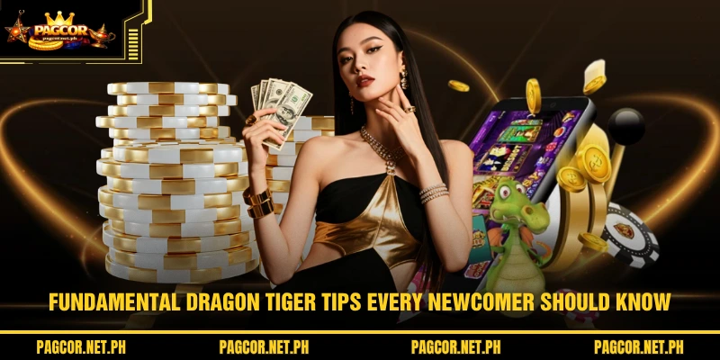 Fundamental Dragon Tiger tips every newcomer should know
