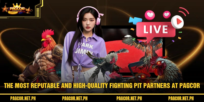 The most reputable and high-quality fighting pit partners at PAGCOR